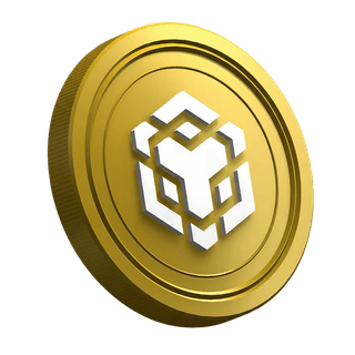 Moneda de la criptomoneda Binance BNB dentro de la página guía para traders nuevos